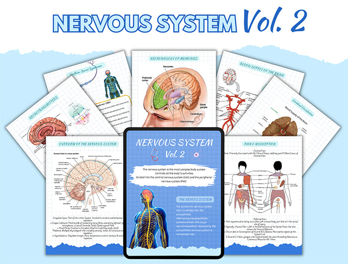 Nervous System Vol. 2
