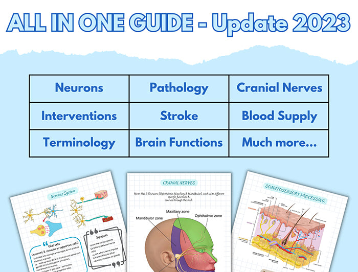 Nervous System Vol. 2