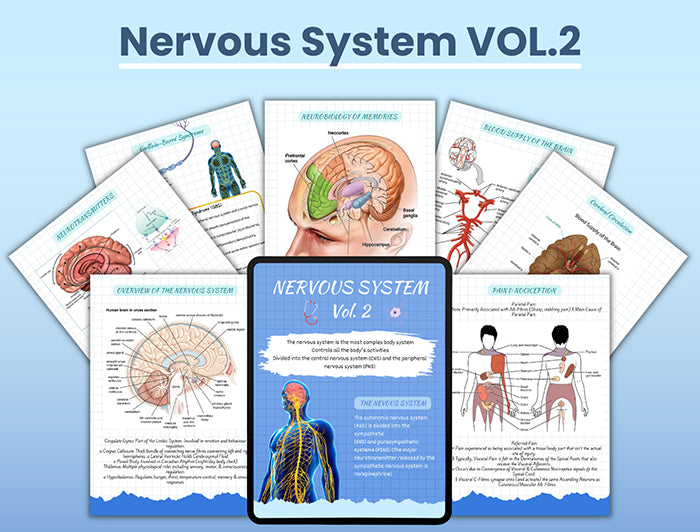 Next Gen NCLEX Study Bundle® + Nervous System Vol. 2®