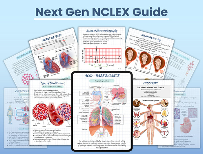 Next Gen NCLEX Study Bundle® + Nervous System Vol. 2®